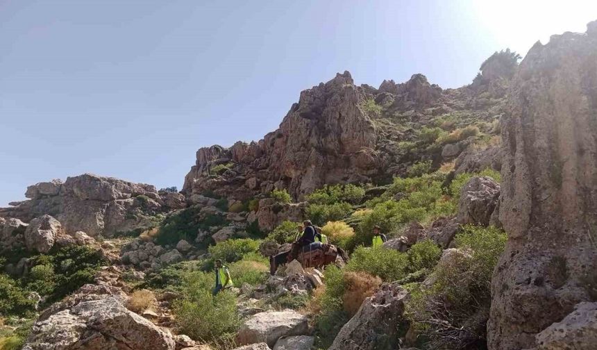 Siirt’te dağ başında rahatsızlanan çoban at sırtında ambulansa ulaştırıldı