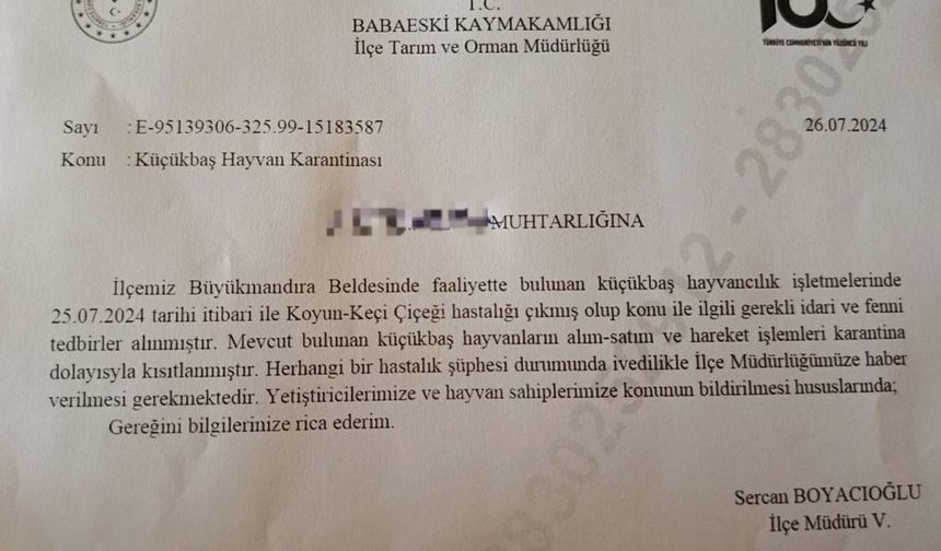 Babaeski’de küçükbaş hayvanlarda çiçek hastalığına rastlandı