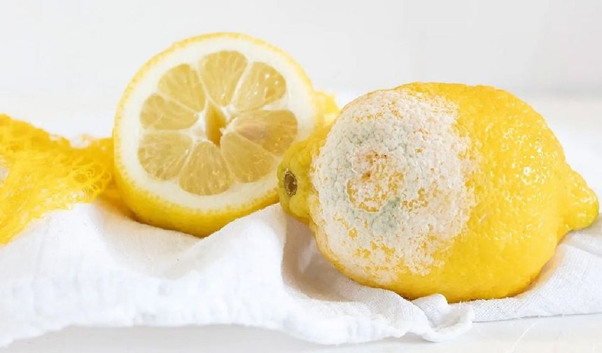 Limonları küflenmeden saklamak için uygulayabileceğiniz yöntemler