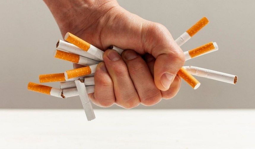 2015 Sonrası Doğanlara Ömür Boyu Yasak Geliyor!