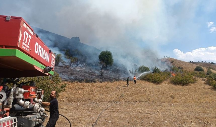 Bingöl'de mera ve ormanlık alanda çıkan söndürüldü