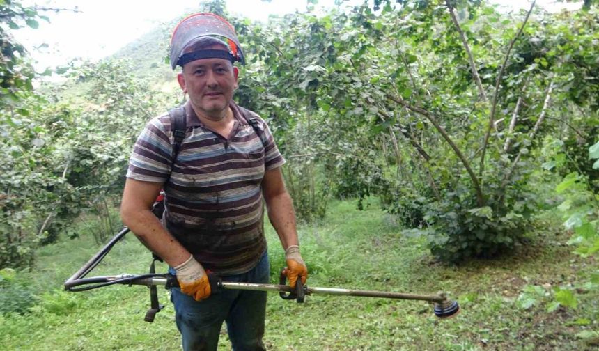 Giresun’da fındık üreticilerinin yaklaşan hasat öncesi bahçe temizliği mesaisi başladı