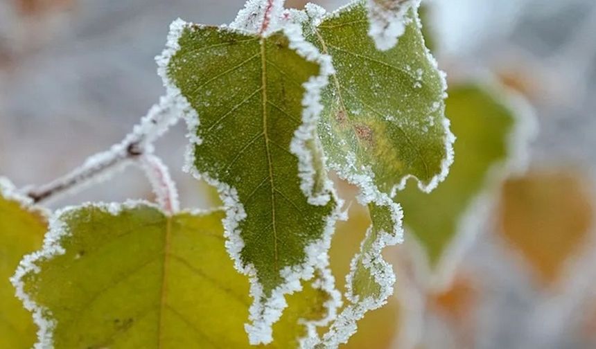 Meteoroloji’den Don Uyarısı!