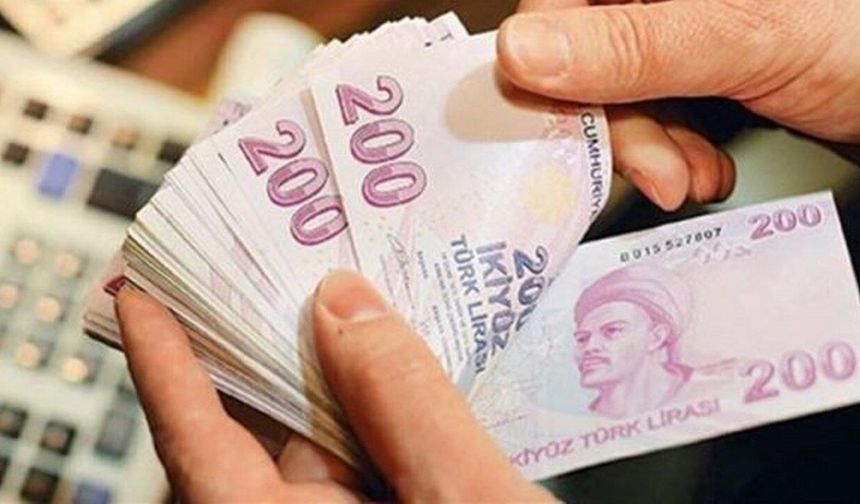 Cüzdanlardaki Değişim: 200 Lira Piyasaya Hükmediyor