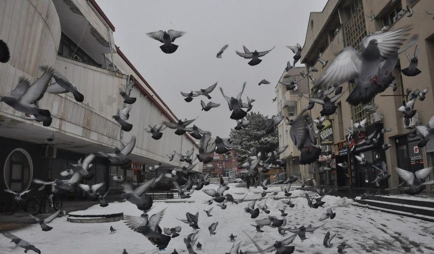 Erzincan'da Mevsimin İkinci Karı