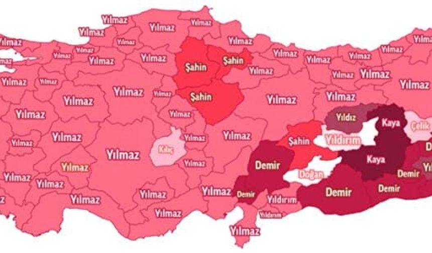 Erzincan'da En Çok Kullanılan Soyadları
