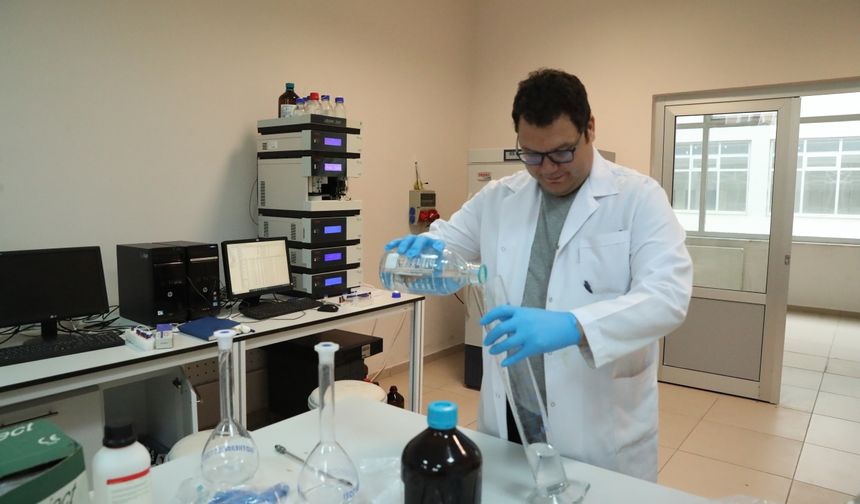 Sıraca Otunun Kimyasal Sırrı Çözülüyor: Zararlı Böceklere Doğal Kalkan