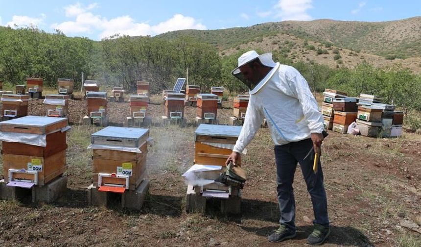 Erzincan Arıcılığında Verimlilik Sırrı