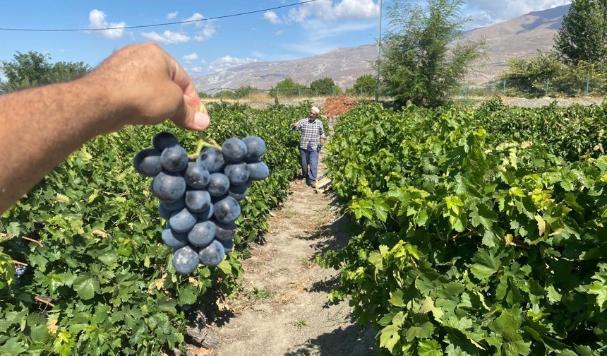 Erzincan'ın gastronomi rotası dünya vitrininde!