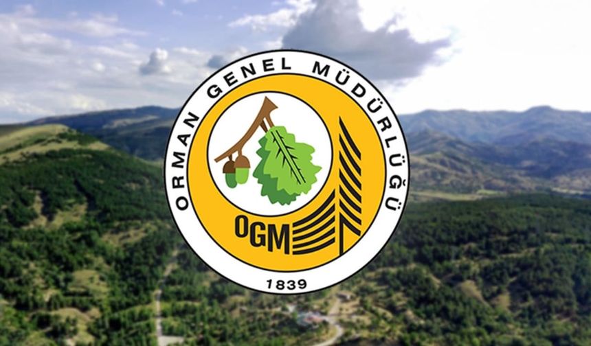 Orman Genel Müdürlüğü 496 Sözleşmeli Personel Alımı Yapacak