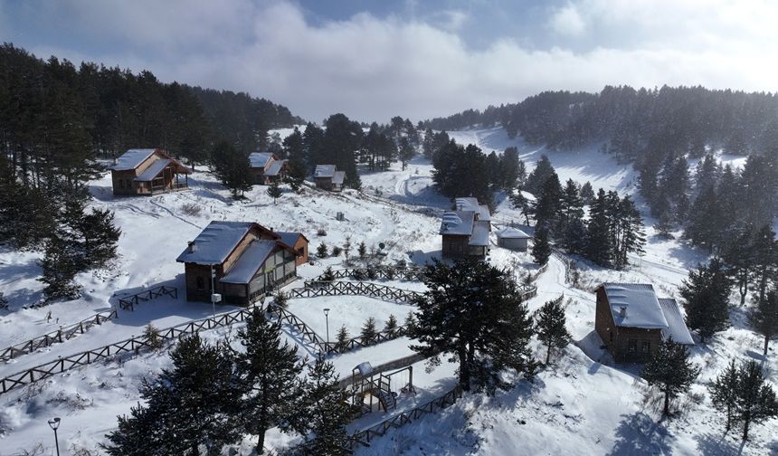 Erzincan’da Dumanlı Tabiat Parkı Kış Güzelliğiyle Ziyaretçilerini Ağırlıyor (VİDEO)