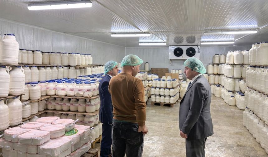 Yayladan Sofraya Uzanan Efsane: Tulum Peyniri Güvenle Üretiliyor