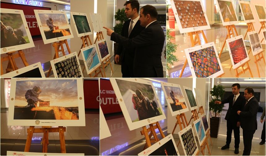 Erzincan’da Emekle Yoğrulan Kareler! Tarım, Orman ve İnsan Fotoğrafları Büyülüyor