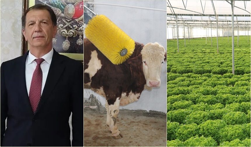 IPARD III’ten Erzincan’a Rekor Destek: 12 Projeyle 178,8 Milyon TL’lik Yatırım