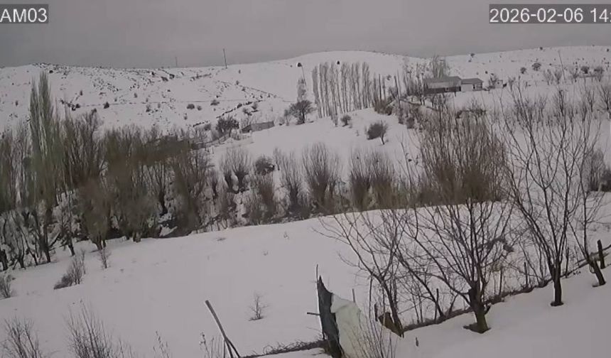 Kemah Hakbilir Köyü'nde Deprem Anı Güvenlik Kamerasında! (VİDEO)