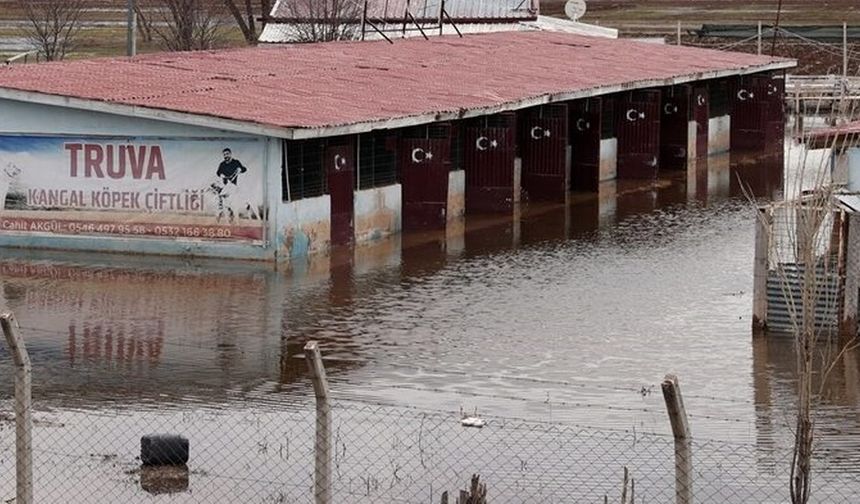 Sivas-Erzincan Yolu Üzerinde Kangal Çiftliğini Su Bastı