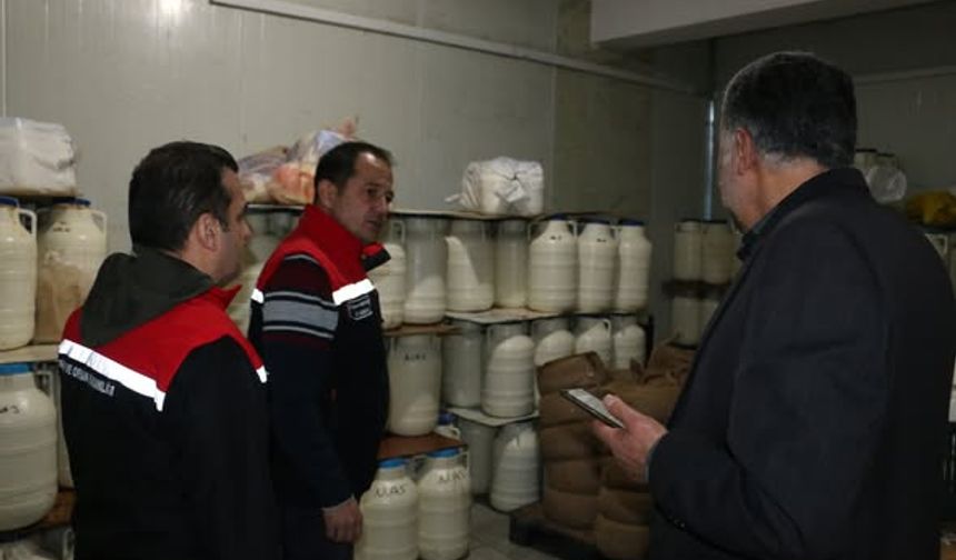 Erzincan Tulum Peyniri Dünya Yolunda