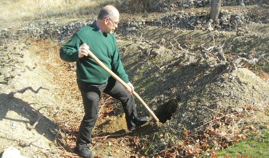 Erzincan Bağlarında Verim Artışı İçin Kritik Uyarı