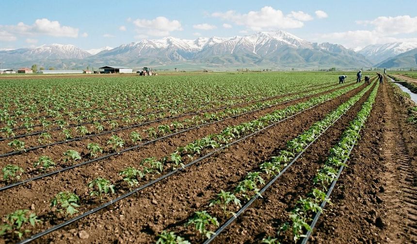 Erzincan’da Çiftçilere Başvuru Müjdesi