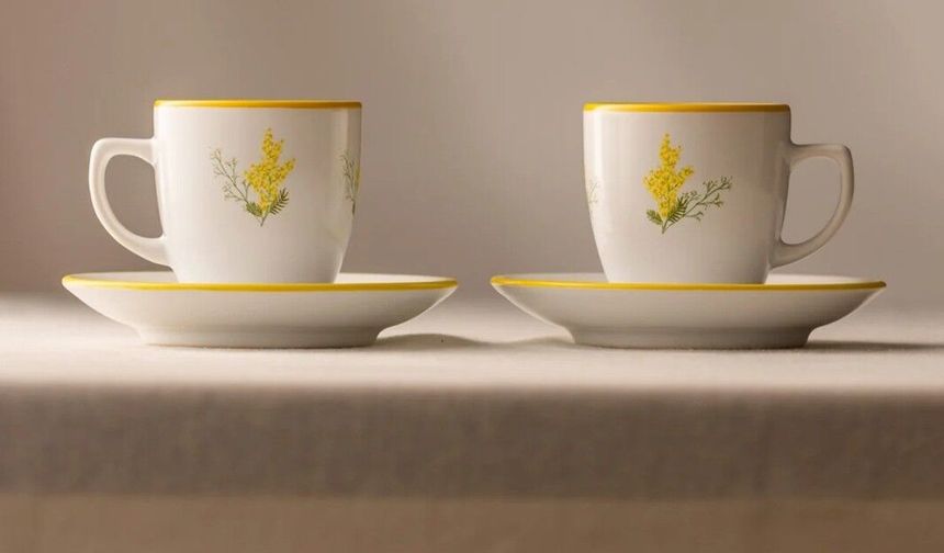 Rakle ile Keyifli Sohbetlerin Eşlikçisi, Kahve Fincanları ve Çay Bardakları