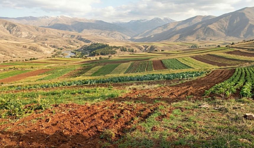 Orman Arazilerindeki İhtilaflı Tapular İade Edilecek
