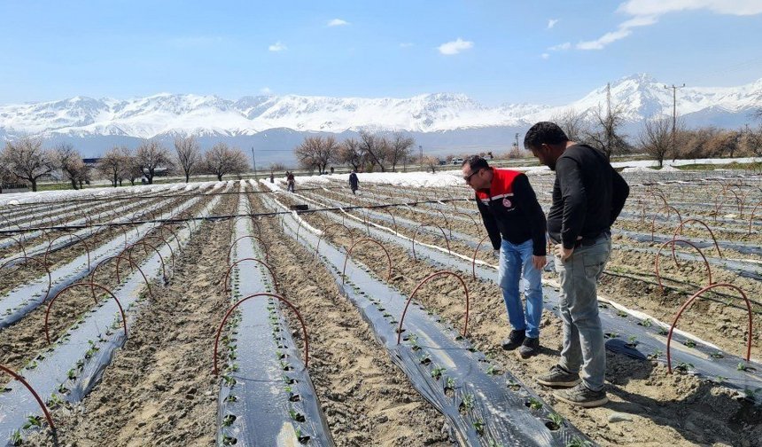 Çevre illerin gıda tedarikçisi Erzincan
