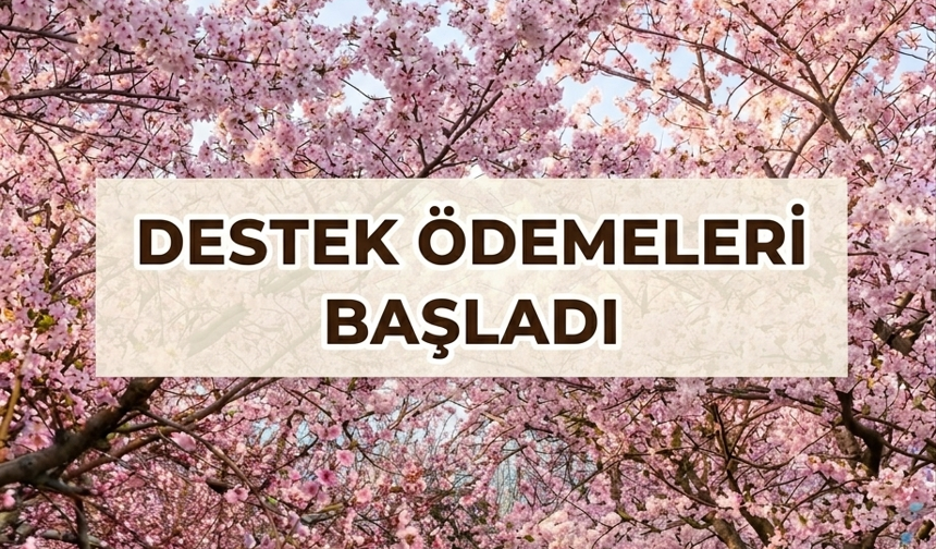 Erzincanlı Çiftçilere Müjde: Destek Ödemeleri Başladı