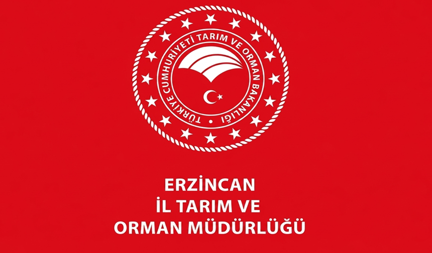 Erzincan’da Kamuya 60 Personel Alımı