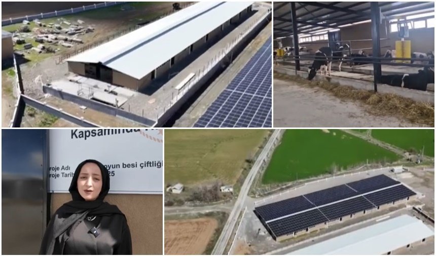 Erzincan’da Modern Hayvancılığa Kadın Dokunuşu (VİDEO)