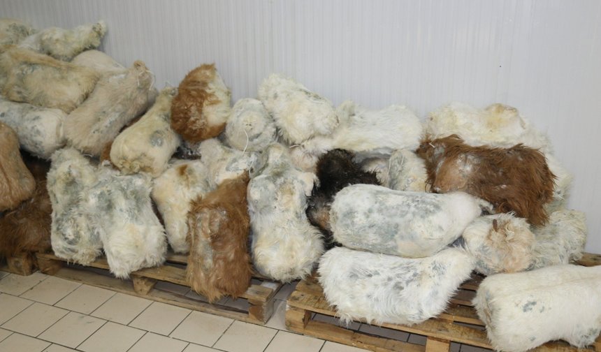 Erzincan’ın Lezzeti Sınırları Aşıyor