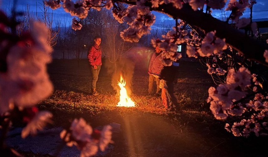 Erzincanlı Çiftçiler Çiçek Açan Ağaçlarını Ateşle Korumaya Çalışıyor (VİDEO)