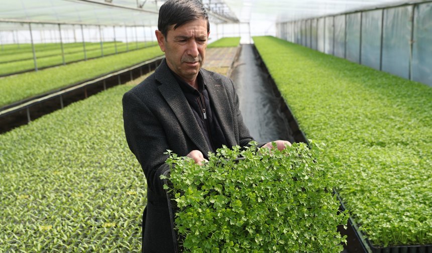 Erzincan’da 4 Milyon Fidelik Başarı Hikâyesi (VİDEO)