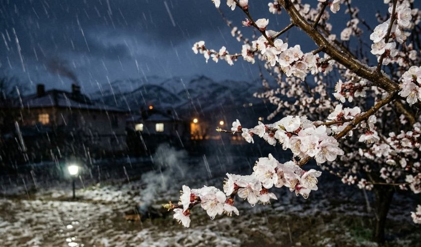 Kar yağmaya başladı bile: Erzincan'da zirai don alarmı!