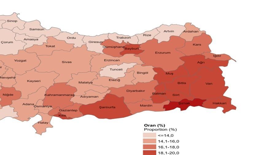 Erzincan’da Genç Nüfus Oranı Dikkat Çekti