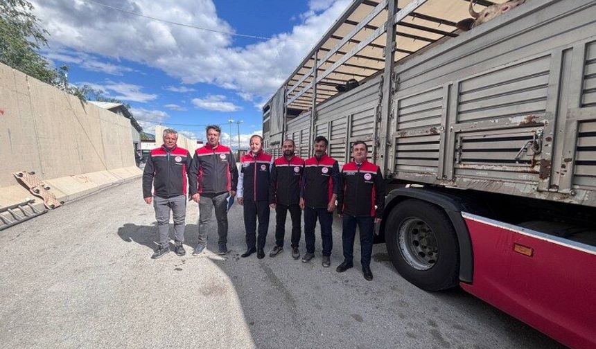 Erzincan’da Kurbanlık Sevkiyatına Sıkı Denetim (VİDEO)