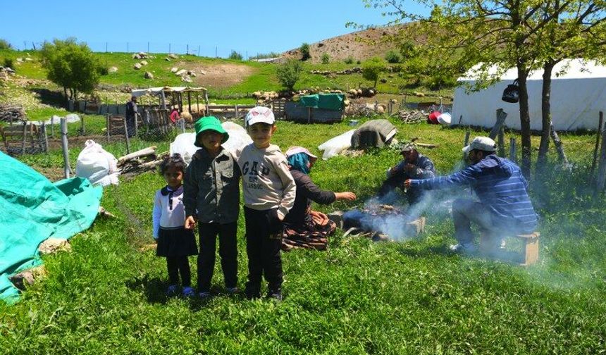 Minik üreticilerin zorlu yayla mesaisi (VİDEO)