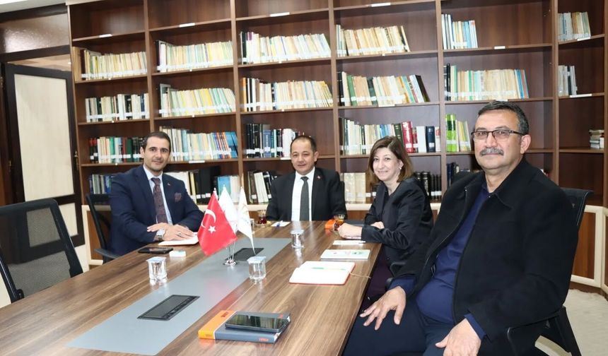 Kırmızı Havuç ve Pancar İçin Ortak Çalışma