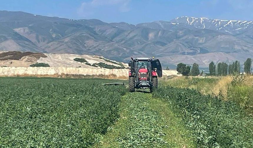Belediyenin 72 Dönümlük Yonca Tarlasında Hasat Mesaisi Başladı