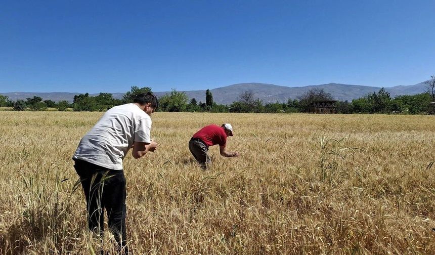 Erzincan’da Arazi Değerini Belirleyen Sır