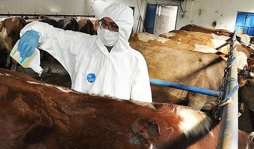 Erzincan’da Kene İle Mücadele İçin Bütçe Onayı