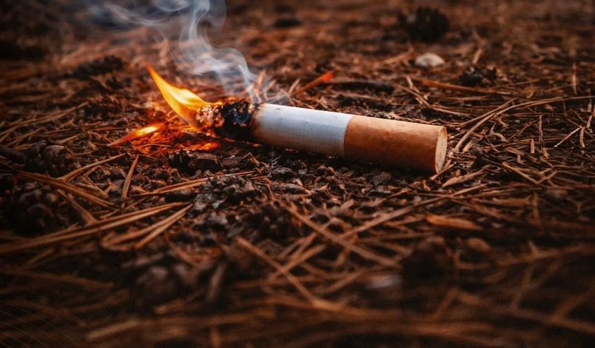 Orman Yangını Uyarısı: İzmaritlere Dikkat
