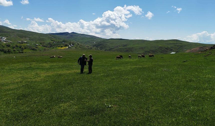 Ağılözü Meralarında Islah Çalışması