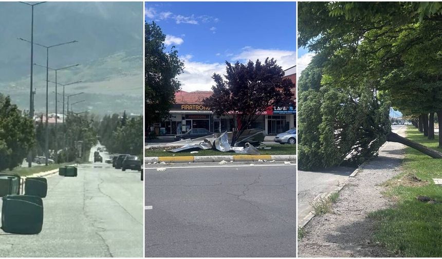 Erzincan’da Şiddetli Rüzgardan Ağaçlar Devrildi Çatılar Uçtu (VİDEO)
