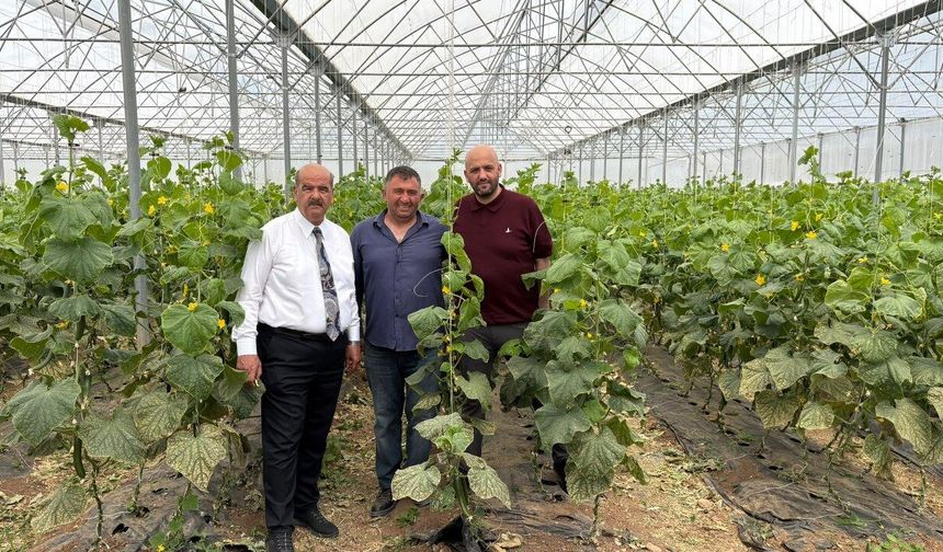 Süleyman Tan’dan Sera Turu