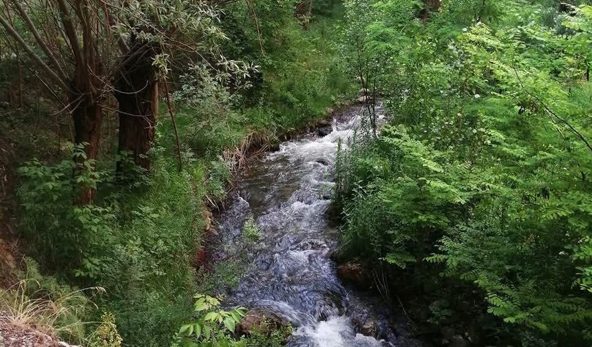Tanasur Vadisi Projesi Masaya Yatırıldı