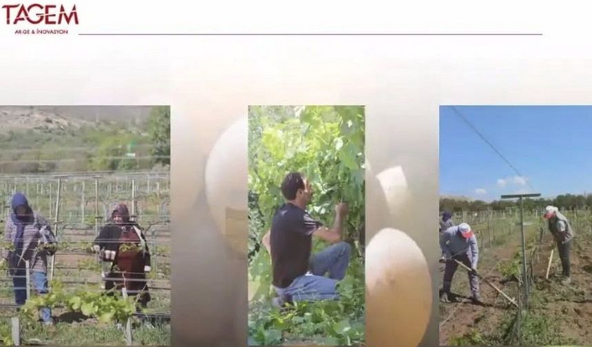 Tarımda Geleceğin Yol Haritası: 2026 Bölge Grup Toplantısı’ndan Önemli Kararlar