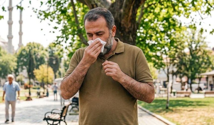 Yaz Gribi Nedir, Nasıl Geçer? Belirtilerine Dikkat