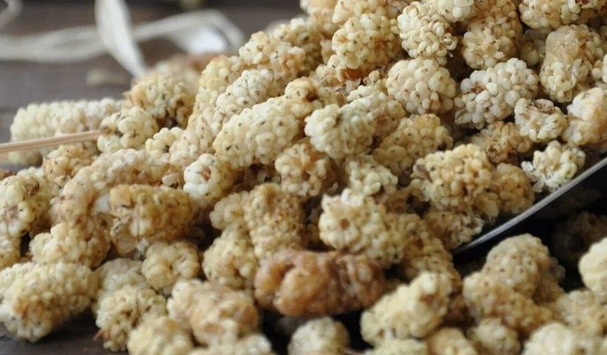 Eğin’in Beyaz Hazinesi! İşte Bir Lezzet Mirasının Hikayesi