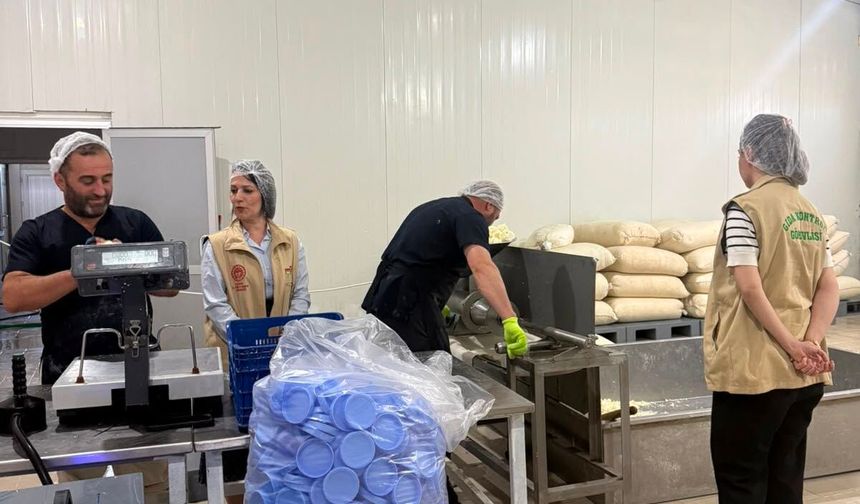 Tercan'da Tulum Peyniri Üreticilerine Sıkı Denetim