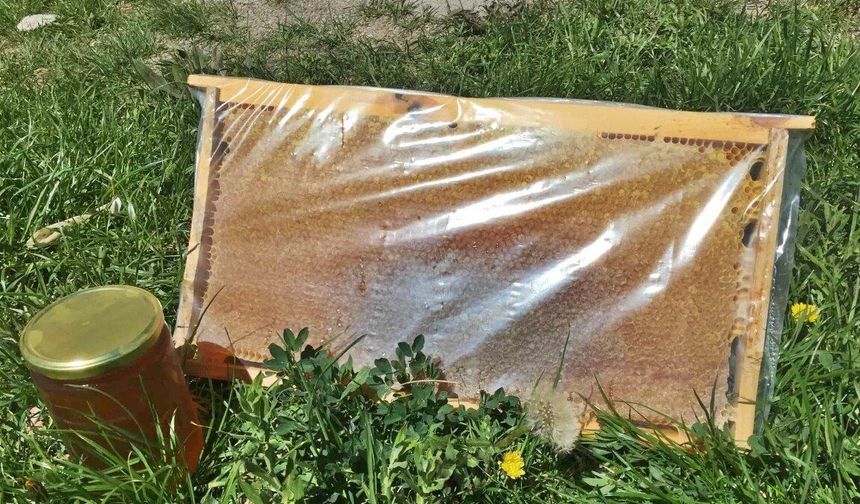 Her Erzincan Balı O Bal Değil! Sahte Bala Son Noktayı Koyacak O Liste